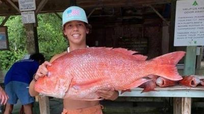 Dauphin Island Fishing Charter | 4 To 6 Hour  Snapper Fishing Trips