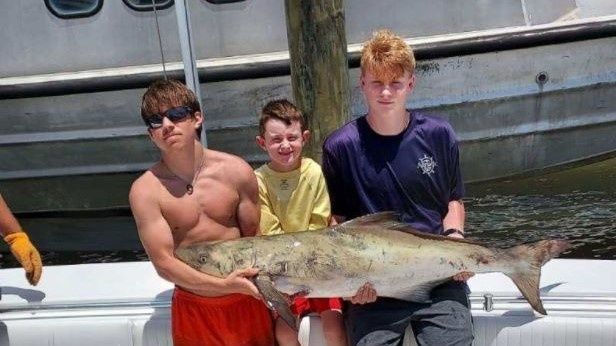 Fishing Charters in Dauphin Island | Half Day Trolling Fishing Trips